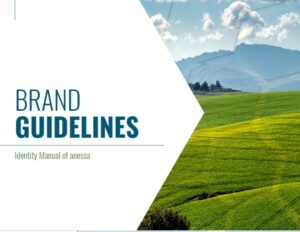 anessa-brand-guide