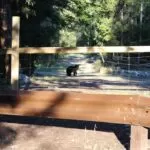 FB IMG 1592248542116