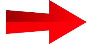 David Maccoubrey Arrowtransparent 2