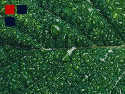 David Maccoubrey Case Study Environmental