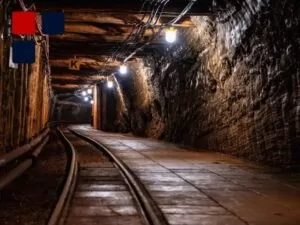 David Maccoubrey Case Study Environmental3