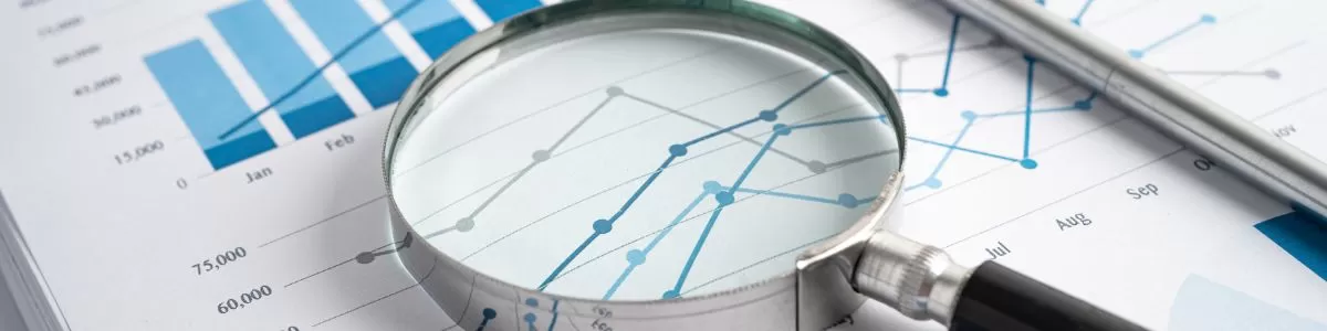 David Maccoubrey Portfolio